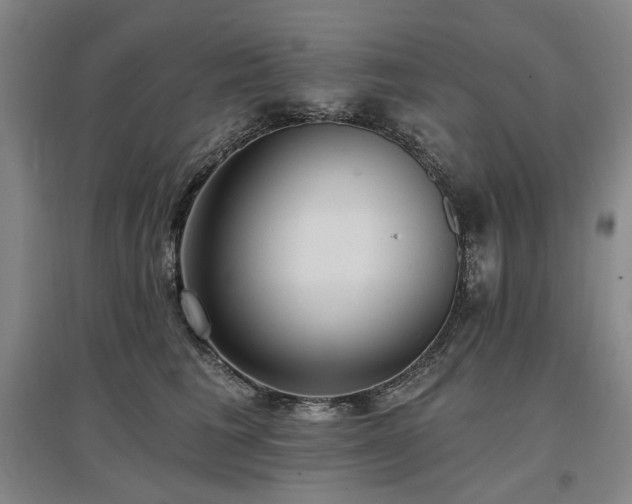 X0000097490613200802221417