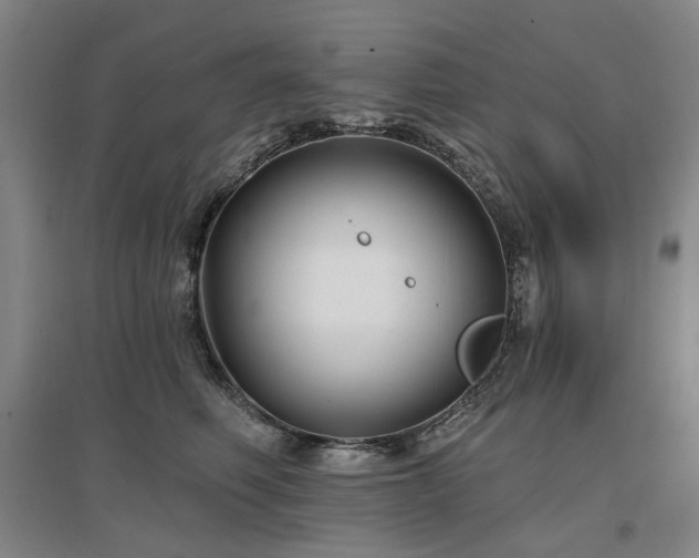 X0000097490614200802221417