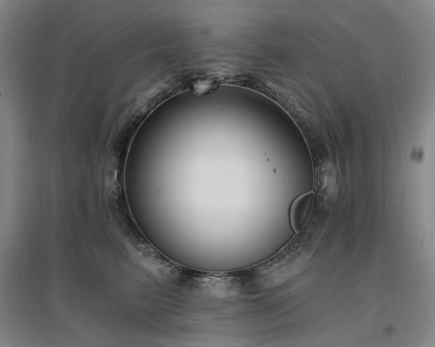 X0000097490615200802221417