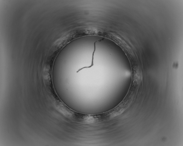 X0000097490616200802221417