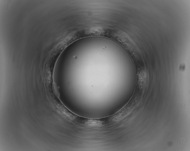 X0000097490617200802221416