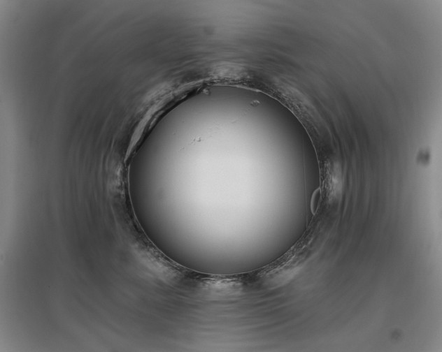 X0000097490619200802221416