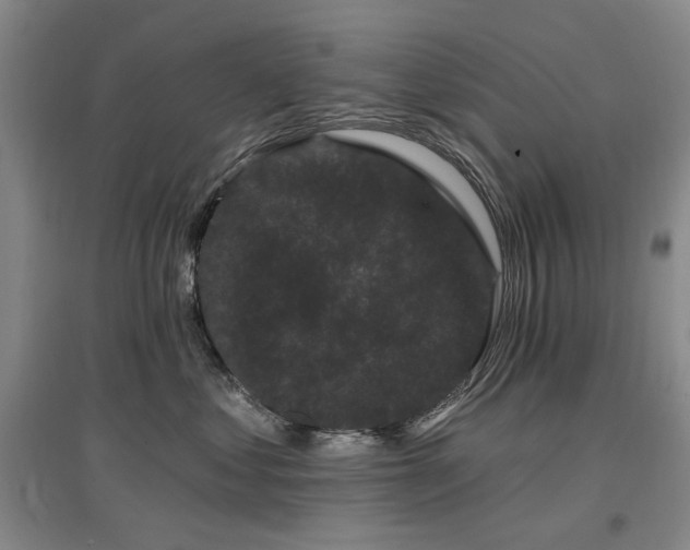 X0000097490621200802221416