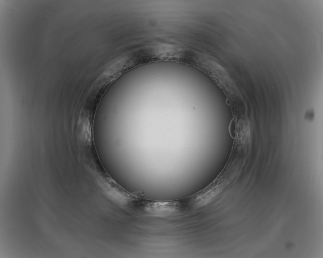 X0000097490622200802221416