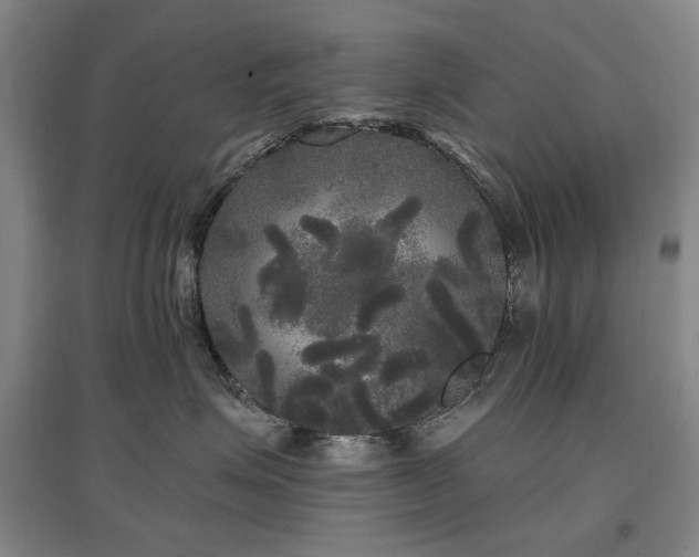 X0000097490623200802221416