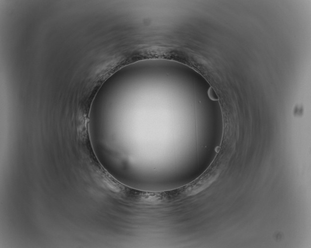 X0000097490624200802221416