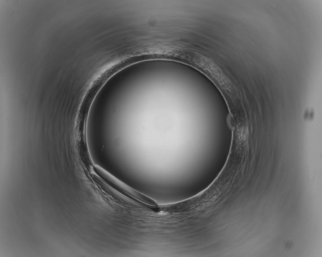 X0000097490628200802221416