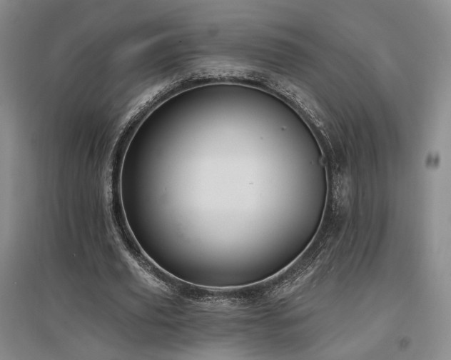 X0000097490629200802221416