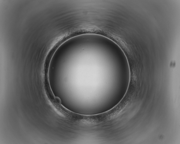 X0000097490630200802221416