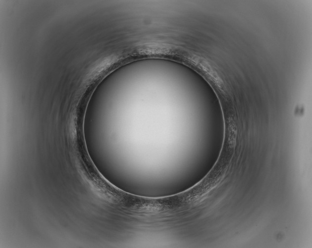 X0000097490631200802221416