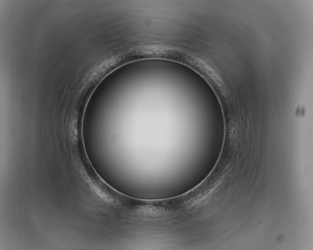 X0000097490633200802221416