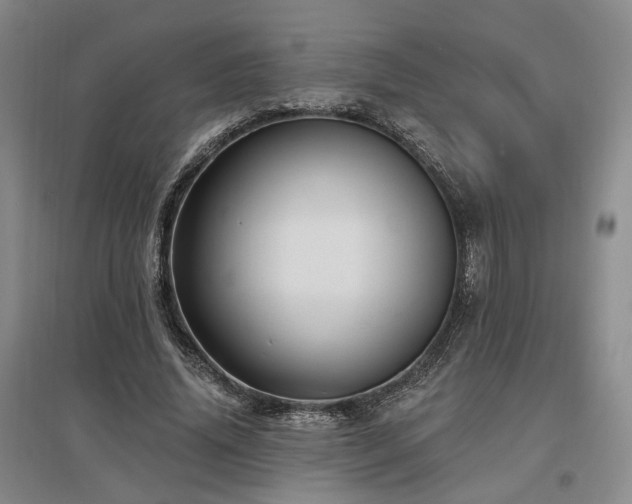 X0000097490636200802221416