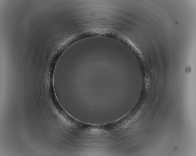 X0000097490637200802221416