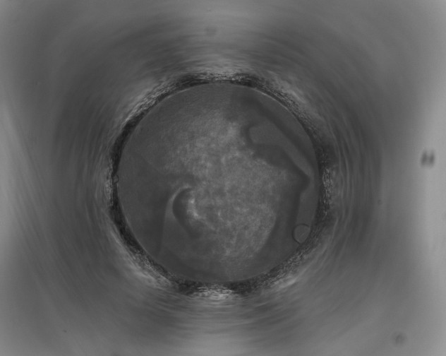 X0000097490642200802221416