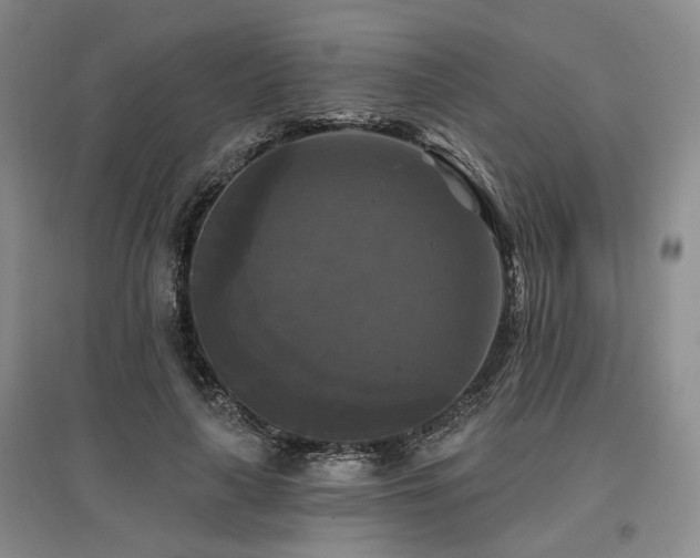 X0000097490643200802221416