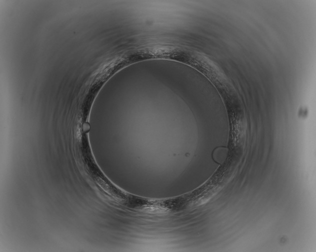 X0000097490644200802221416