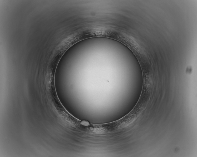 X0000097490645200802221416