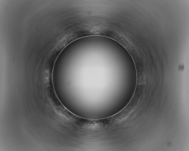 X0000097490646200802221416