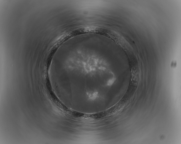 X0000097490648200802221416