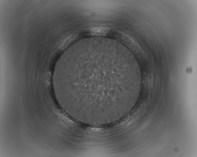 X0000097490649200802221416