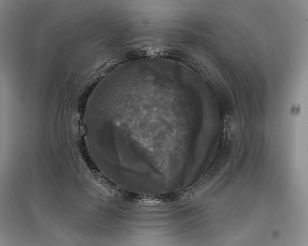 X0000097490650200802221416