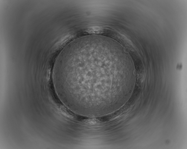 X0000097490652200802221416