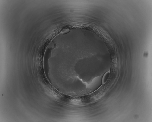 X0000097490653200802221416