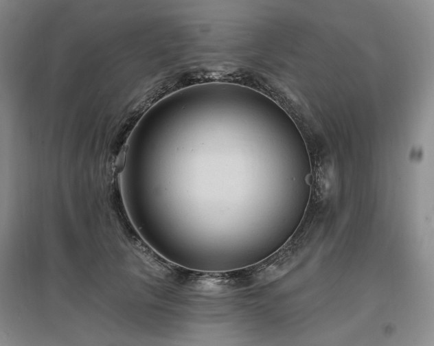 X0000097490657200802221416