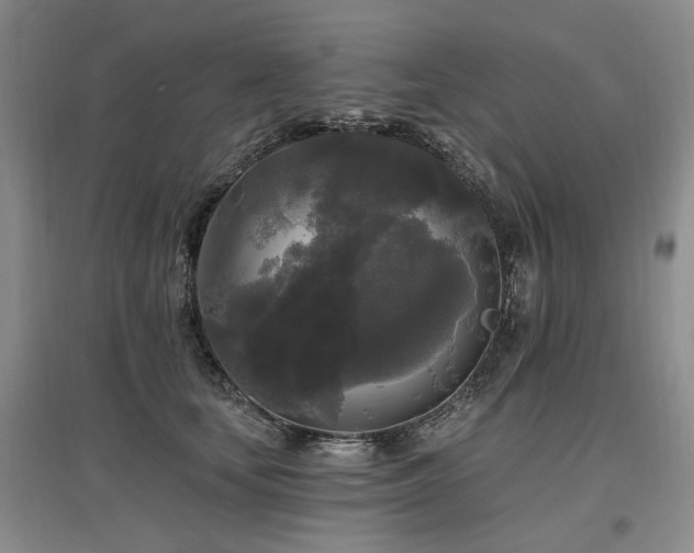 X0000097490659200802221416