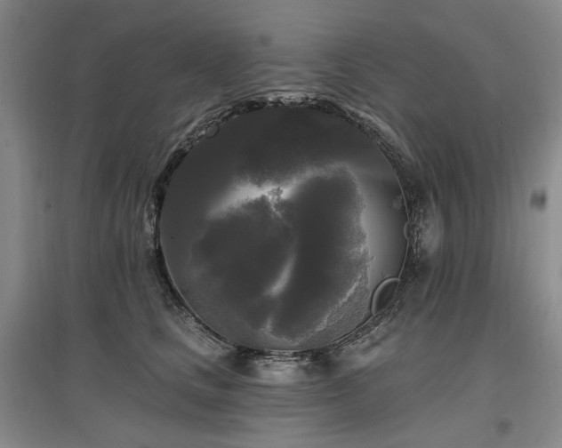 X0000097490661200802221416