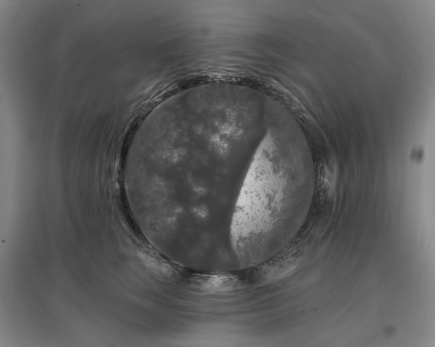 X0000097490663200802221416