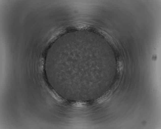 X0000097490664200802221416