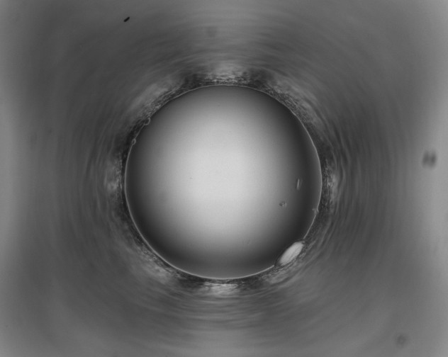 X0000097490665200802221416