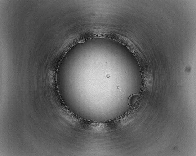 X0000097490667200802221416