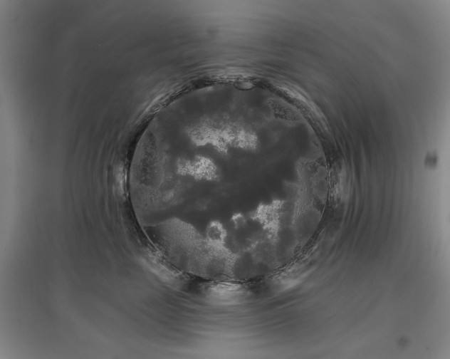 X0000097490669200802221416