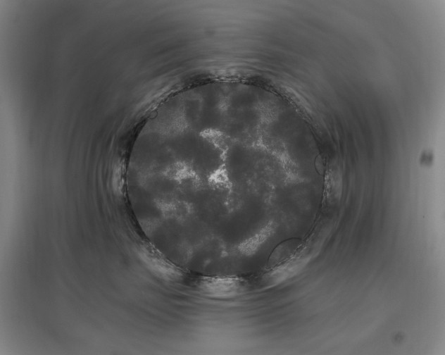 X0000097490671200802221416