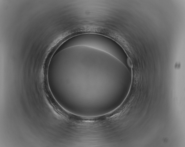 X0000097490674200802221416