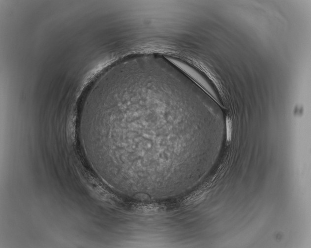 X0000097490675200802221416