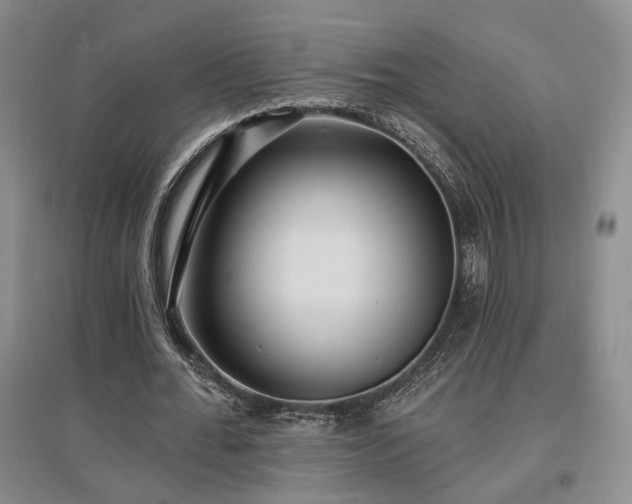 X0000097490676200802221416