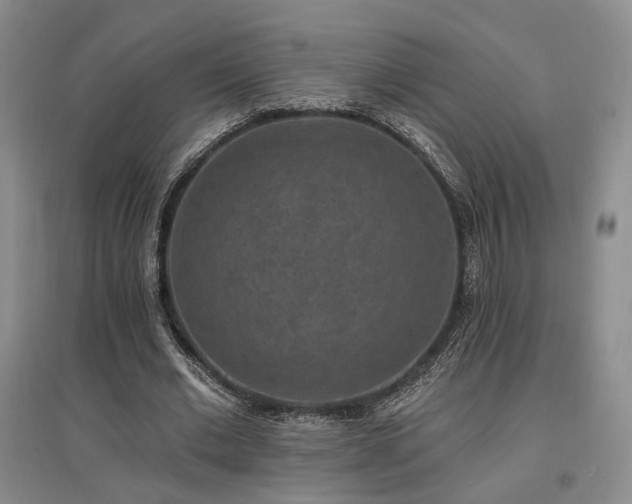 X0000097490677200802221416