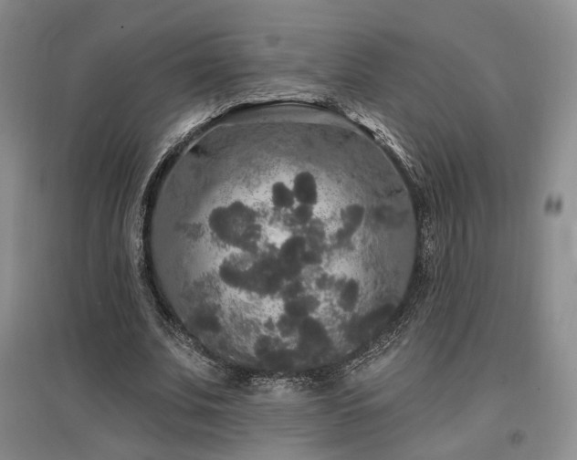 X0000097490679200802221416