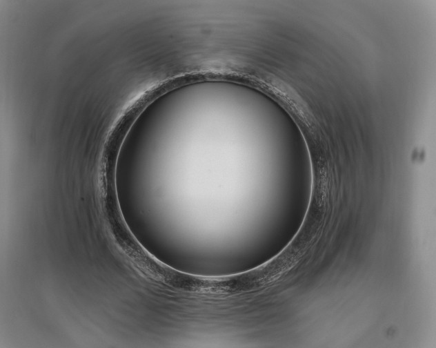 X0000097490680200802221416