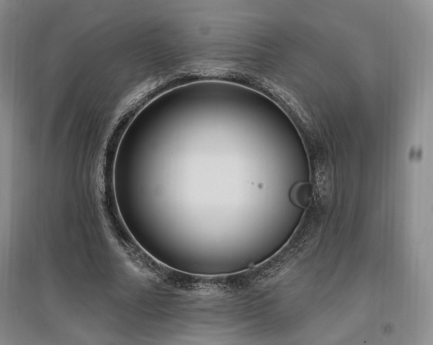 X0000097490682200802221416