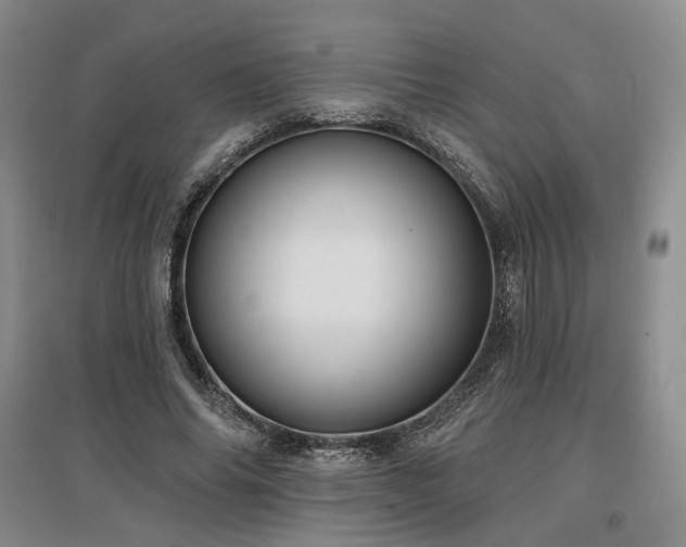 X0000097490686200802221416