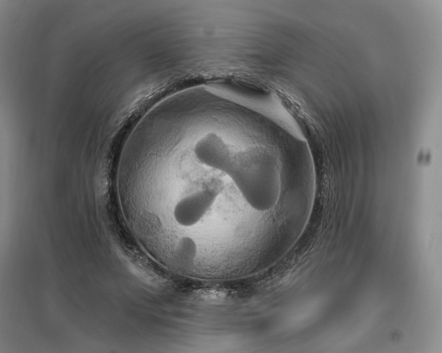 X0000097490687200802221416