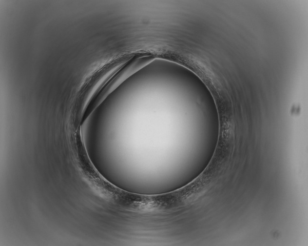 X0000097490688200802221416