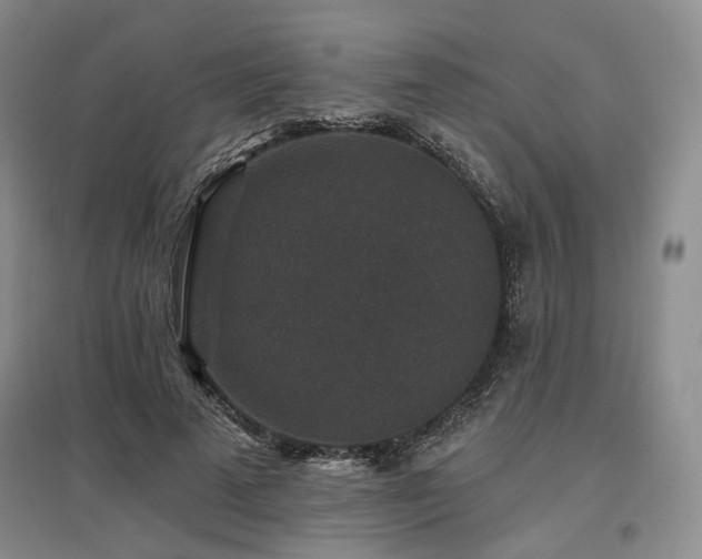 X0000097490689200802221415