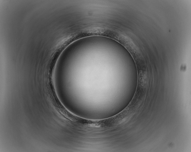 X0000097490692200802221415