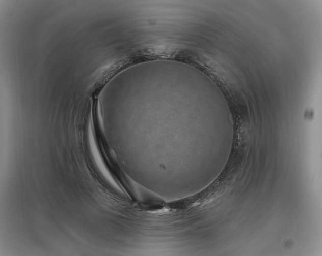 X0000097490693200802221415