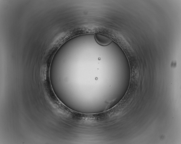 X0000097490694200802221415